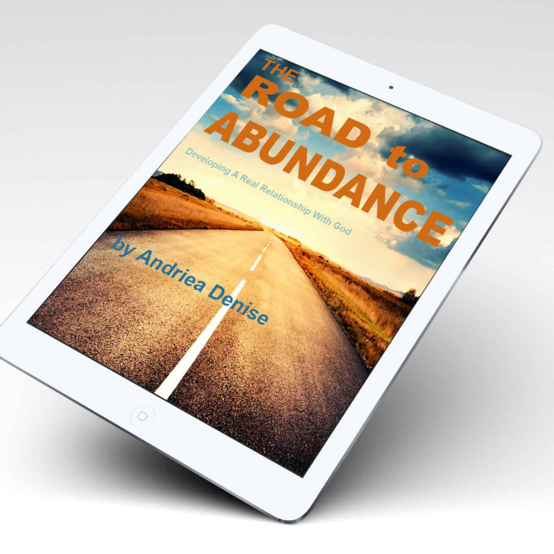 The Road to Abundance eBook