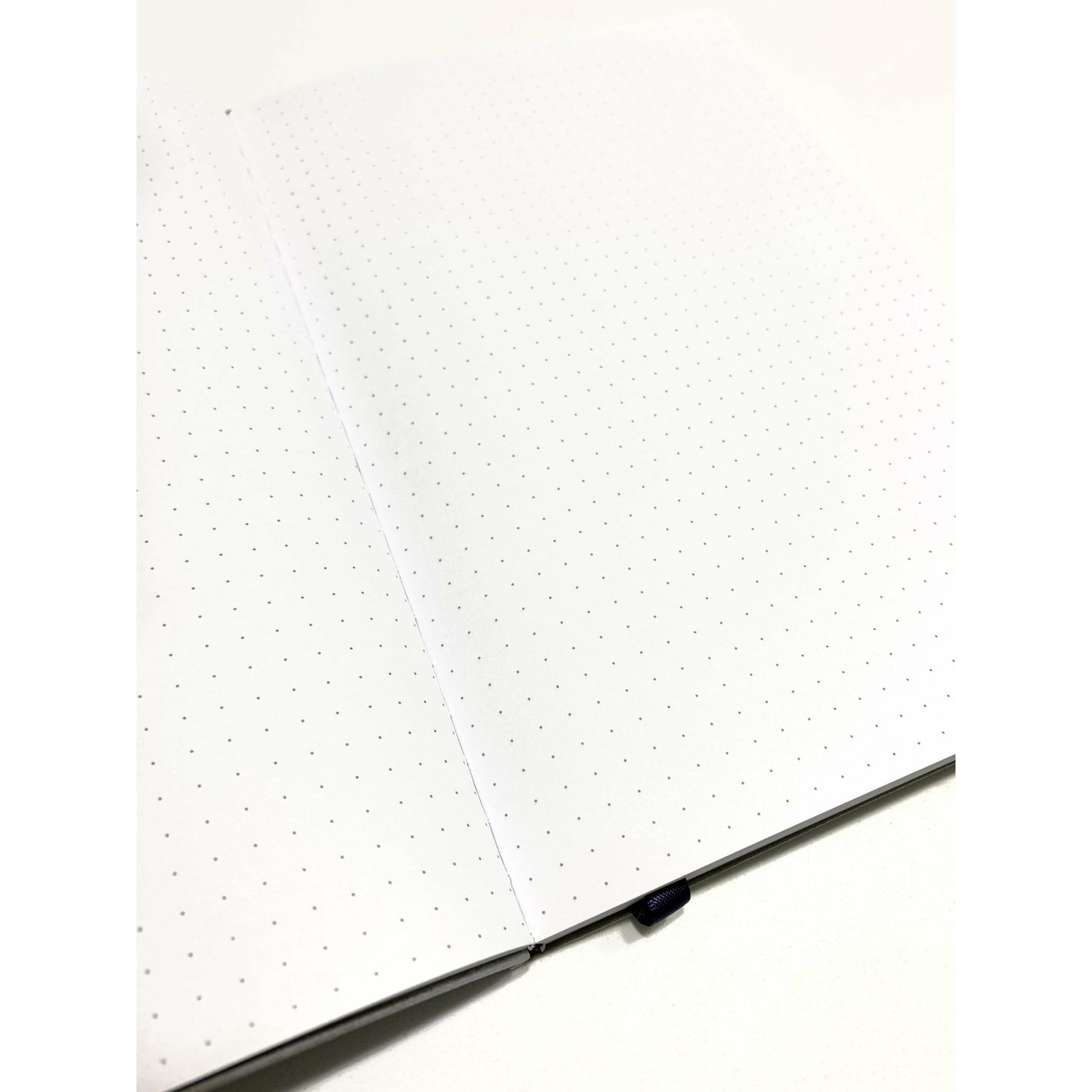 open bullet journal with dot graph page showing